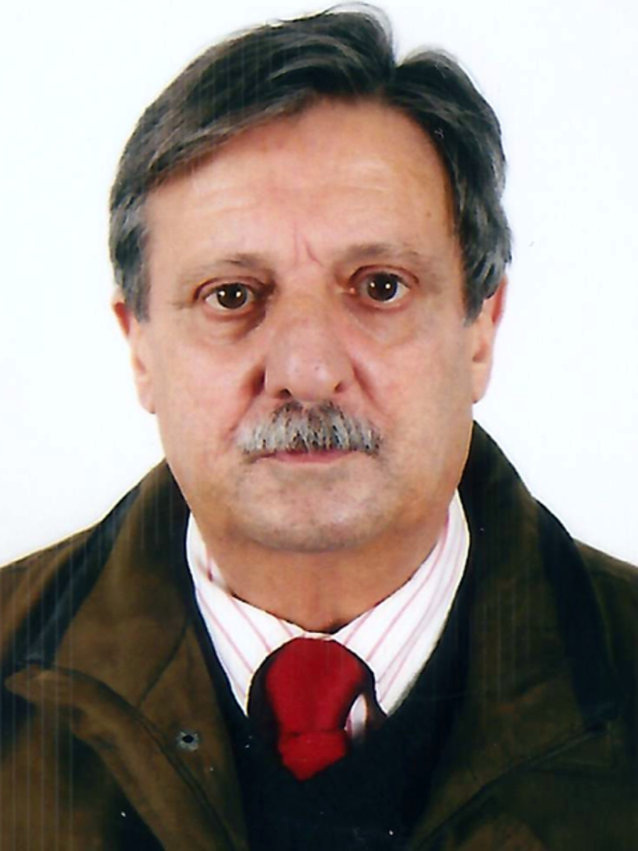 Joaquim Manuel da Silva Ribeiro